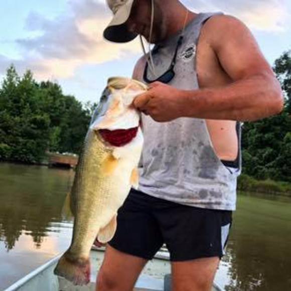 Meet your Posher, Matthew - Picture 1 of 1